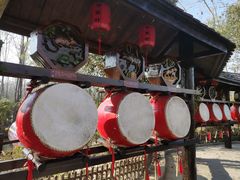 -合肥滨湖国家森林公园