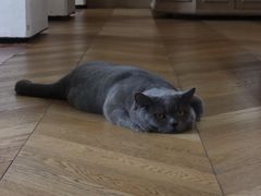 -Me Coffee下午茶艺术空间