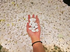 -蓝鲸湾汤泉(包河店)