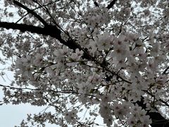 -威尔仕健身(海伦中心店)