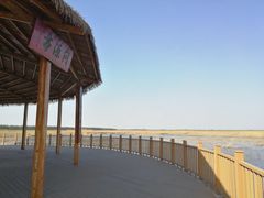 -白洋淀景区