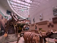 -陕西自然博物馆