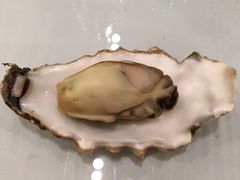 -印象高密·凤都国际大酒店