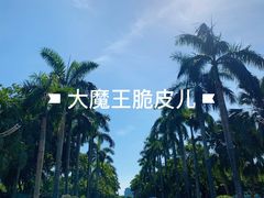 景点-万绿园
