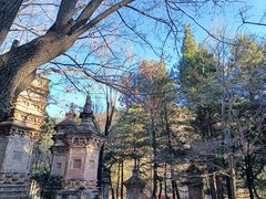 -潭柘寺景区