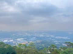 -水濂山森林公园