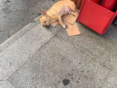 -老兵牛蹄店(下沙店)