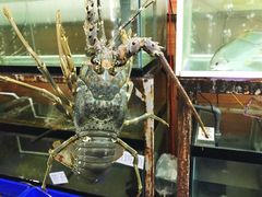 -QQ海鲜餐厅