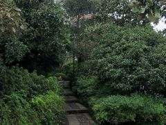 -杭州半山国家森林公园