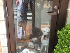 -东京浅草和服体验江户和装工房雅(浅草本店)