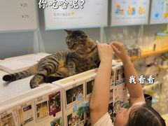 -猫的天空之城概念书店(杭州南宋御街店)
