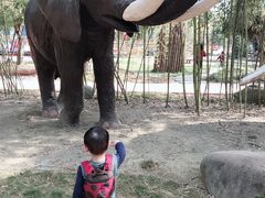 -揭东万竹园旅游景区