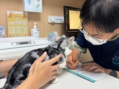 -谐和益家动物医院·免疫绝育·血液透析·宠保定点医院(高新伊藤分院)