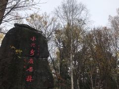 -汤旺河林海奇石景区