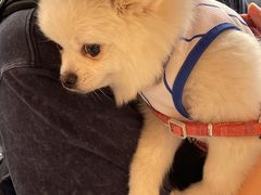 -工页咖啡X COFFEE(龙东路店)