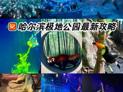 -哈尔滨极地公园