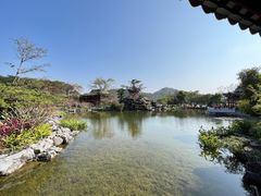 -顺峰山公园