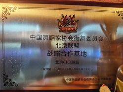 -CICI街舞专业培训