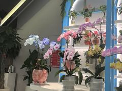 -和平大悦城