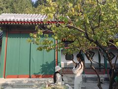 -宫事颐庭·老佛爷贵寿下午茶(颐和园店)