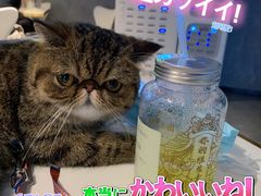 -野萃山·潮汕厚果汁(十亩地店)