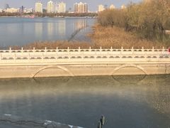-鱼翅楼·津派砂锅鱼翅(水上公园店)