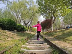 -永定河休闲森林公园