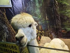 -苏州海洋馆