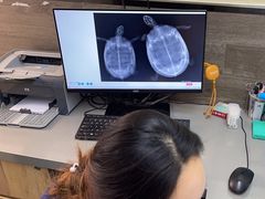 -爱侣宠医·鹦鹉专科·小型哺乳类·异宠专科(灵石路店)