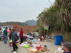 -小芝红树林