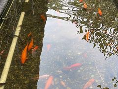 -南宁荔园维景国际酒店·荔园中餐厅