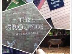 -The Grounds of Alexandria