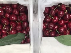 -上海龙吴水胜海发市场