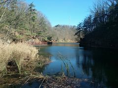 -洛阳白云山景区