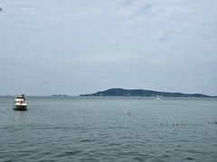 -悦海公园