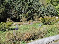 -丹东市五龙山风景区