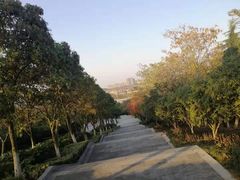 -南京市无想山景区