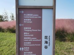 -上海滨江森林公园