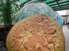 -遇见阿家村云南菜(魏公村店)