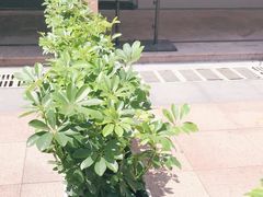-长沙友阿奥特莱斯