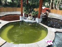 -碧水湾温泉