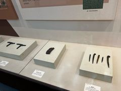 -南越王博物院(王宫展区)