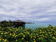 -卡帕莱度假村(西巴丹岛)