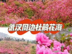 -木兰云雾山