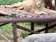 -泉州海丝野生动物世界