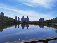 -前关湿地公园