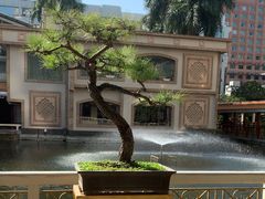 -番禺宾馆丽苑厅