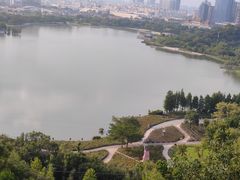 -顺峰山公园