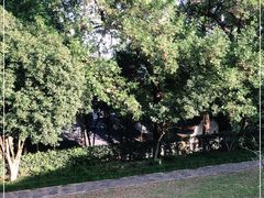 -上海市保健医疗中心