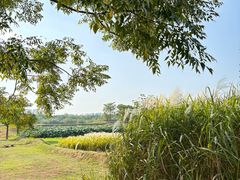 -盘龙城国家考古遗址公园